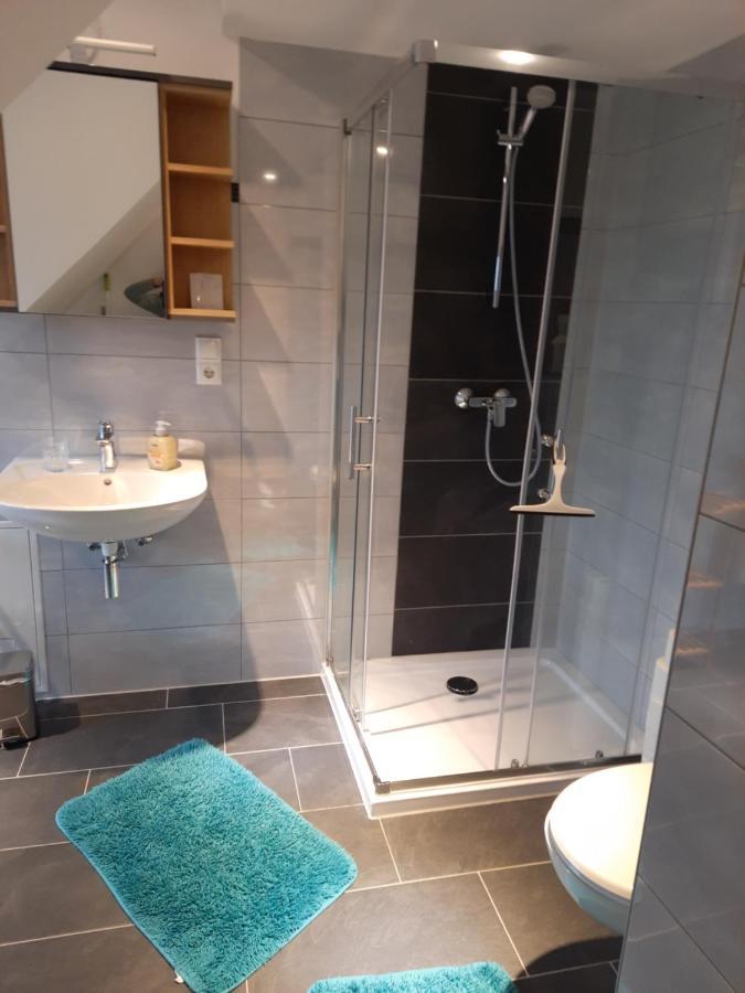 Sarah Klein Aber Fein Apartment Wellesweiler Ngoại thất bức ảnh